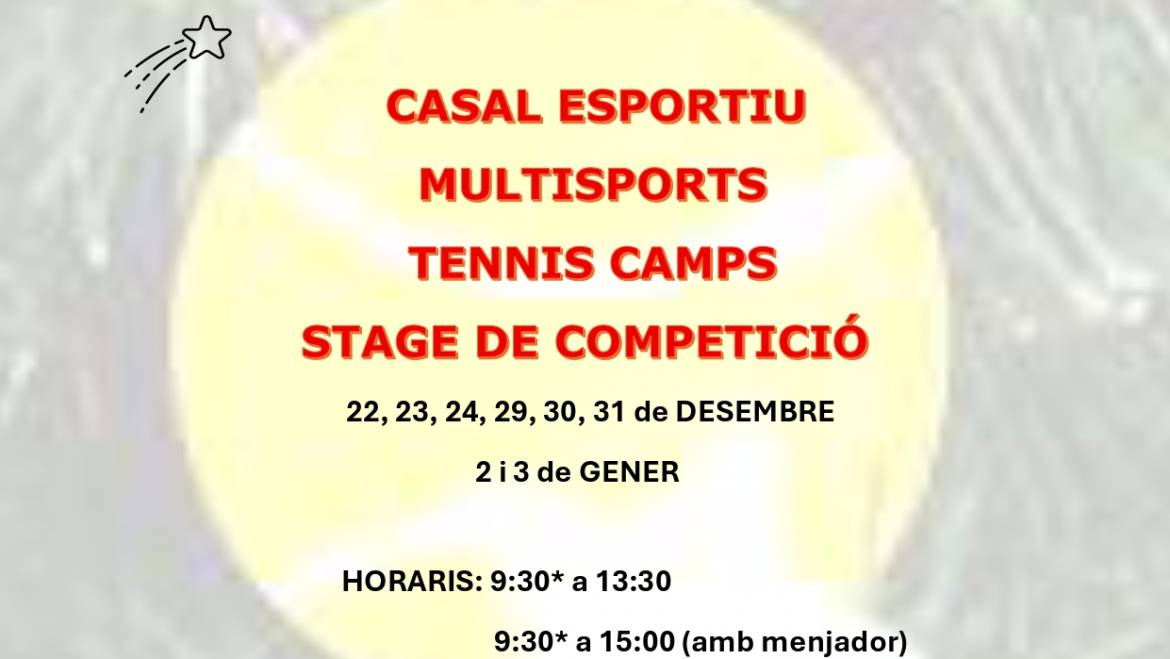 Actividades Navidad 2025