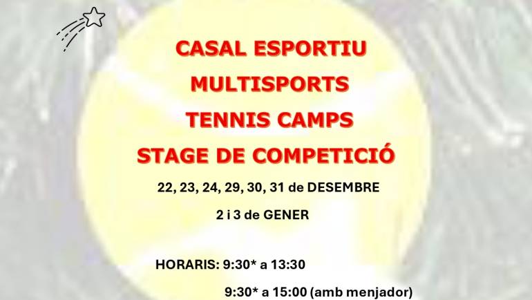 Actividades Navidad 2025